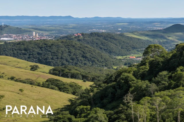 Paisagem verde de colinas e mata atlântica no Paraná, com vista para cidade ao fundo.